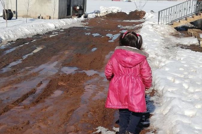 Пішла в магазин за хлібом, під парканом біля будинку помітила ворушіння, підійшла і беззвучно сплеснула руками.